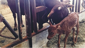 防護建材重復利用率低